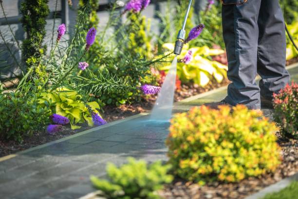 Best Animal Enclosure Cleaning  in Denmark, SC